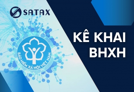 Kê khai lao động, BHXH