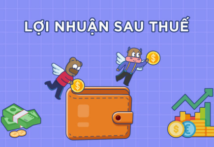 Lợi nhuận sau thuế là gì? Cách tính lợi nhuận sau thuế TNDN