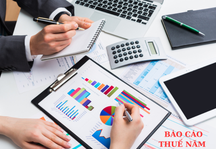 Báo cáo thuế năm của doanh nghiệp